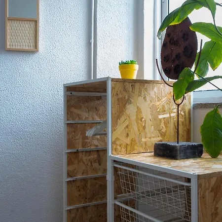 Pensión Paraiso By Coloursrevolution