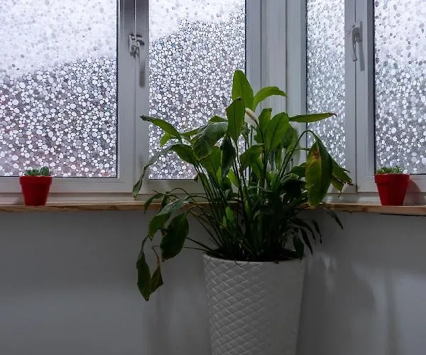 Paraiso By Coloursrevolution