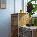 Pensión Paraiso By Coloursrevolution