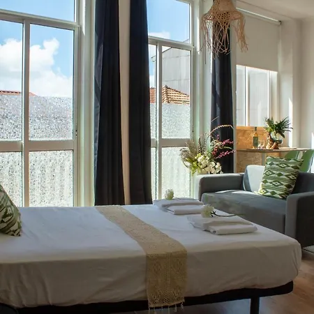 Gasthuis Paraiso By Coloursrevolution