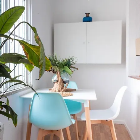 Paraiso By Coloursrevolution