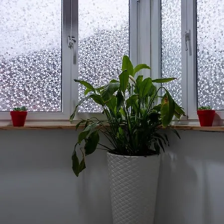 Paraiso By Coloursrevolution